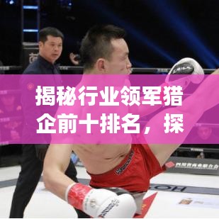 揭秘行业领军猎企前十排名，探寻成功秘诀！