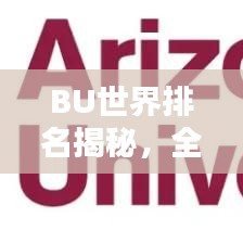 BU世界排名揭秘，全球影响力与地位的探究