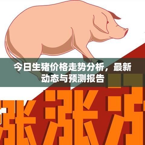 今日生猪价格走势分析，最新动态与预测报告