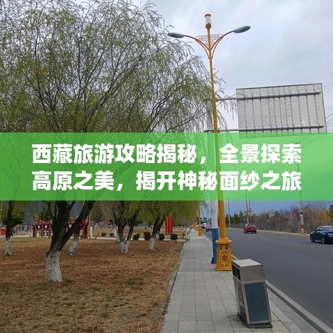 西藏旅游攻略揭秘，全景探索高原之美，揭开神秘面纱之旅