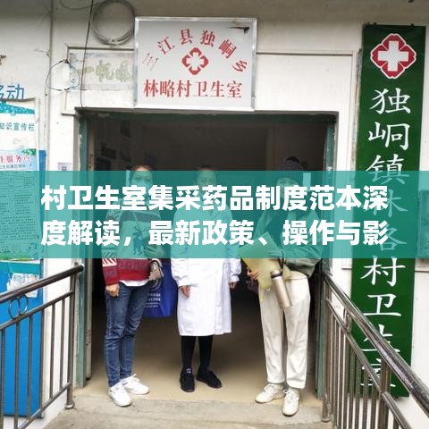 村卫生室集采药品制度范本深度解读，最新政策、操作与影响分析