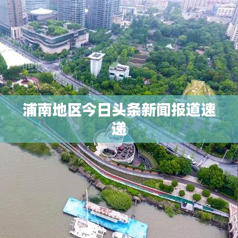 浦南地区今日头条新闻报道速递