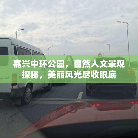 嘉兴中环公园，自然人文景观探秘，美丽风光尽收眼底