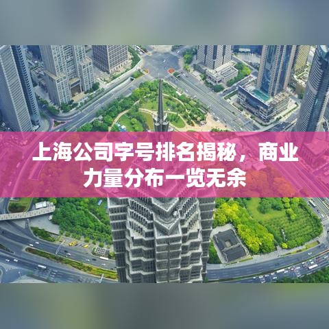上海公司字号排名揭秘，商业力量分布一览无余