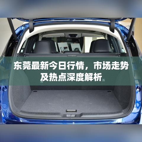东莞最新今日行情，市场走势及热点深度解析