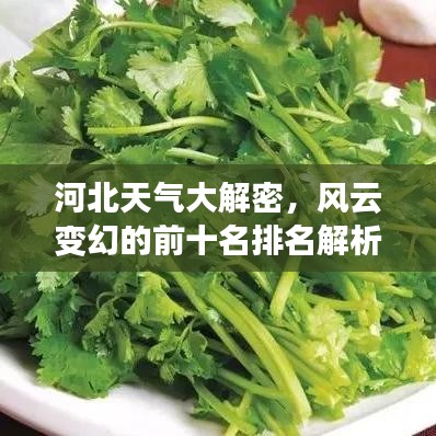 河北天气大解密，风云变幻的前十名排名解析