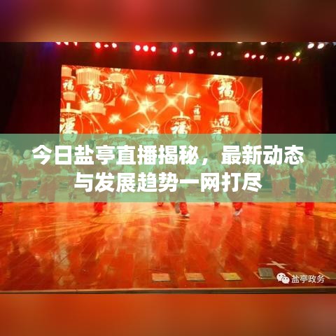 今日盐亭直播揭秘，最新动态与发展趋势一网打尽