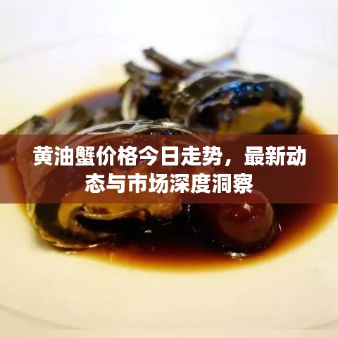 黄油蟹价格今日走势，最新动态与市场深度洞察