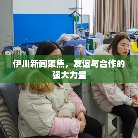 伊川新闻聚焦，友谊与合作的强大力量