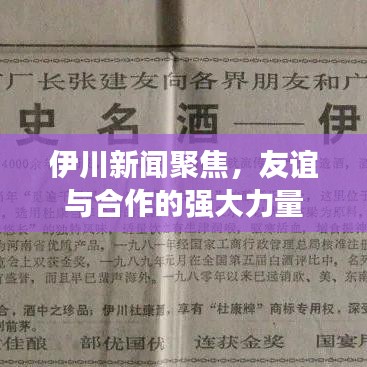 伊川新闻聚焦,友谊与合作的强大力量