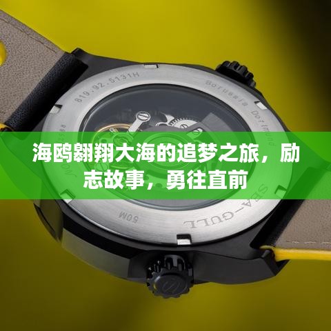 海鸥翱翔大海的追梦之旅，励志故事，勇往直前