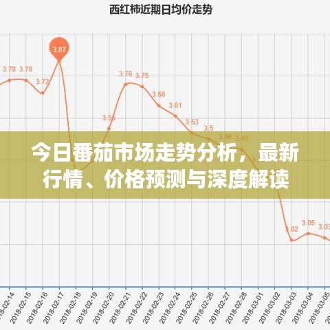 今日番茄市场走势分析，最新行情、价格预测与深度解读