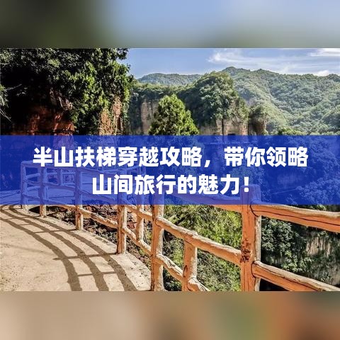 半山扶梯穿越攻略，带你领略山间旅行的魅力！