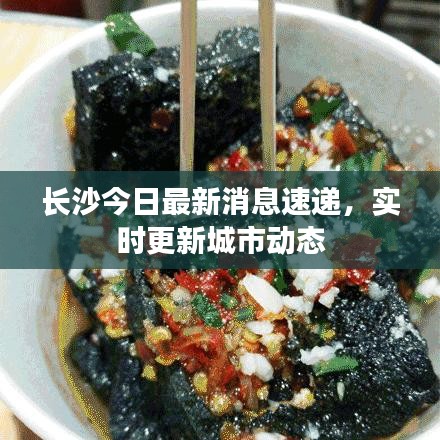长沙今日最新消息速递，实时更新城市动态