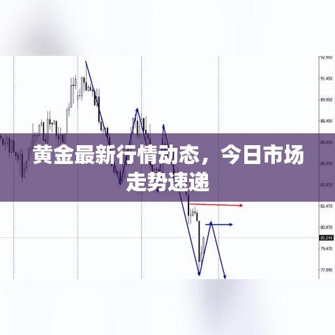 黄金最新行情动态，今日市场走势速递