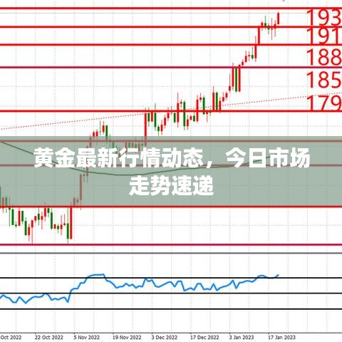 黄金最新行情动态,今日市场走势速递