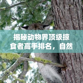 揭秘动物界顶级掠食者高手排名，自然界猛兽霸主榜单！
