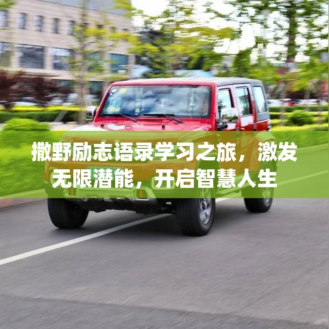 撒野励志语录学习之旅，激发无限潜能，开启智慧人生