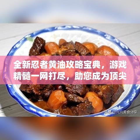 全新忍者黄油攻略宝典，游戏精髓一网打尽，助您成为顶尖高手！