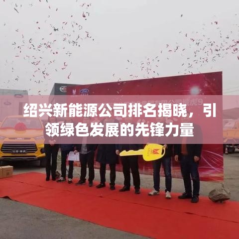 绍兴新能源公司排名揭晓，引领绿色发展的先锋力量