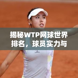 揭秘WTP网球世界排名，球员实力与荣耀的评估刻度尺全解析