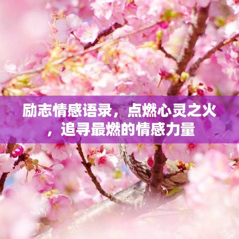 励志情感语录，点燃心灵之火，追寻最燃的情感力量