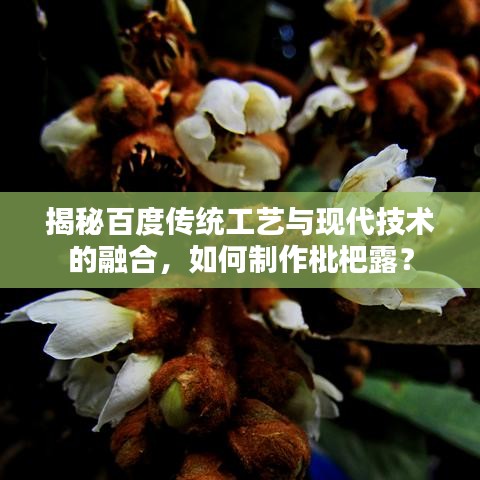 揭秘百度传统工艺与现代技术的融合，如何制作枇杷露？