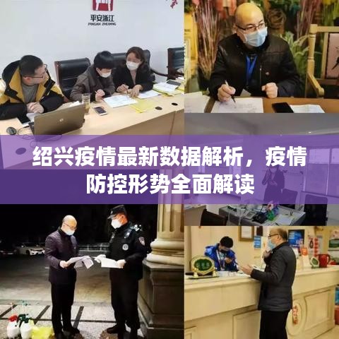 绍兴疫情最新数据解析，疫情防控形势全面解读