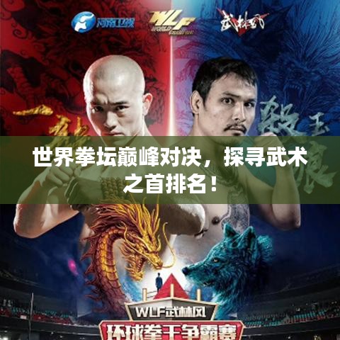 世界拳坛巅峰对决，探寻武术之首排名！