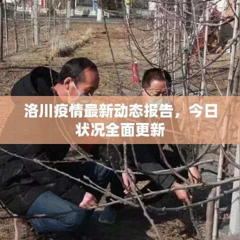 洛川疫情最新动态报告，今日状况全面更新