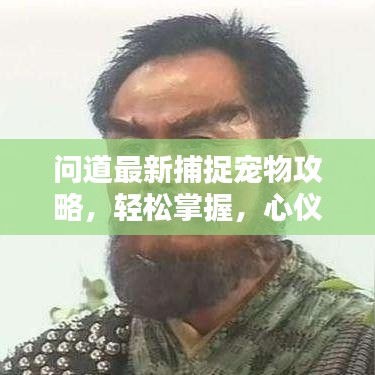 问道最新捕捉宠物攻略，轻松掌握，心仪宠物轻松到手！