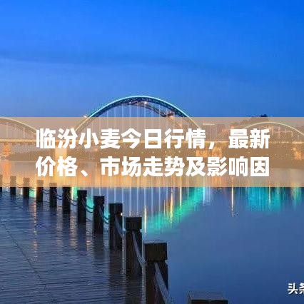 欧贵婚俗 第7页