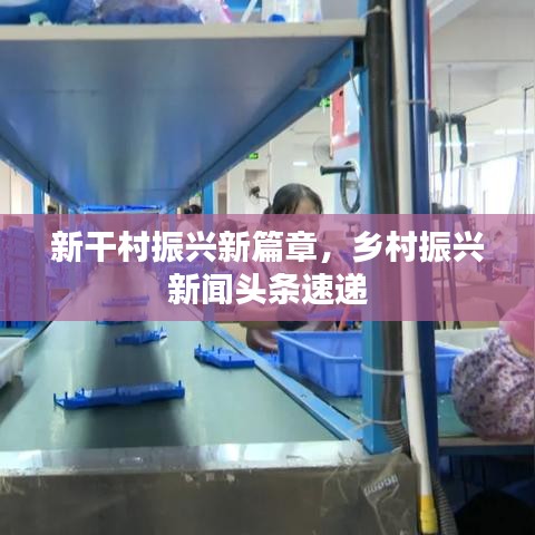 新干村振兴新篇章，乡村振兴新闻头条速递