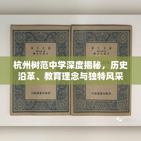 杭州树范中学深度揭秘，历史沿革、教育理念与独特风采
