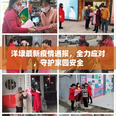 洋埭最新疫情通报,全力应对,守护家园安全