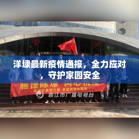 洋埭最新疫情通报，全力应对，守护家园安全