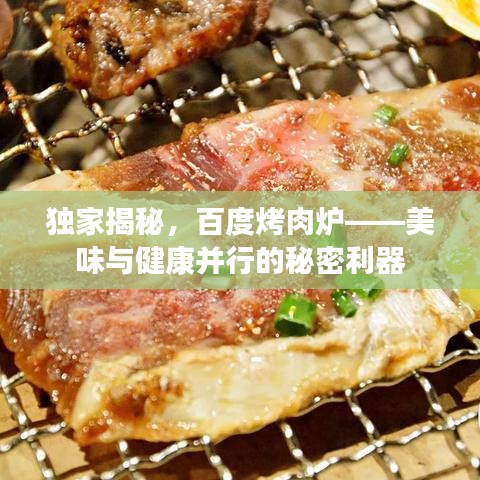 独家揭秘，百度烤肉炉——美味与健康并行的秘密利器