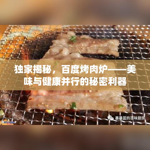 独家揭秘,百度烤肉炉——美味与健康并行的秘密利器