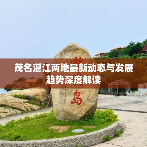 茂名湛江两地最新动态与发展趋势深度解读