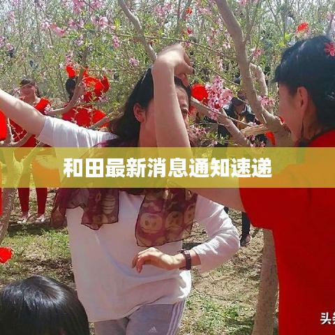 和田最新消息通知速递
