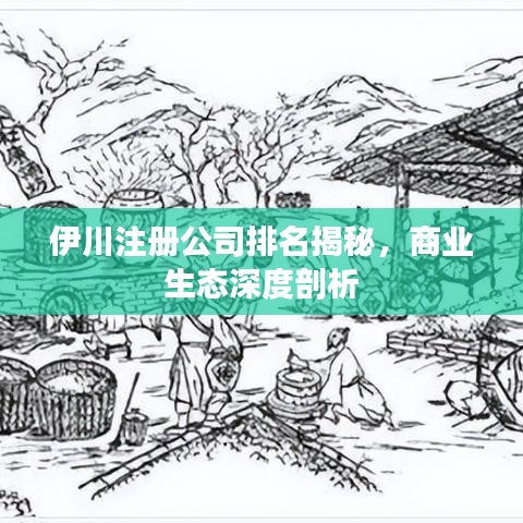 伊川注册公司排名揭秘，商业生态深度剖析