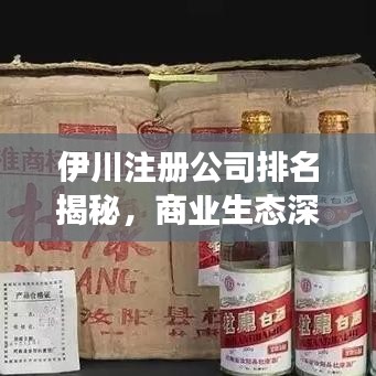伊川注册公司排名揭秘，商业生态深度剖析