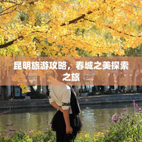 昆明旅游攻略，春城之美探索之旅
