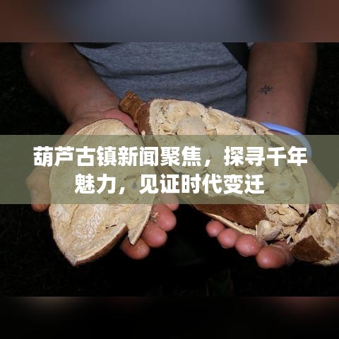 葫芦古镇新闻聚焦，探寻千年魅力，见证时代变迁