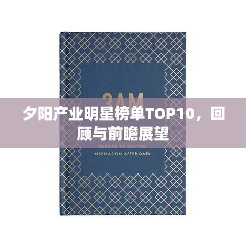 夕阳产业明星榜单TOP10，回顾与前瞻展望