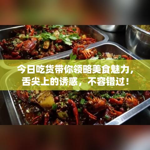 今日吃货带你领略美食魅力，舌尖上的诱惑，不容错过！