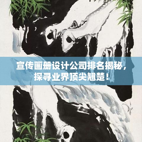 宣传画册设计公司排名揭秘，探寻业界顶尖翘楚！