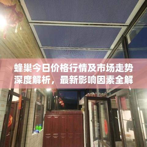 蜂巢今日价格行情及市场走势深度解析，最新影响因素全解析