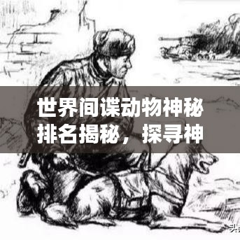 世界间谍动物神秘排名揭秘，探寻神秘榜单背后的秘密
