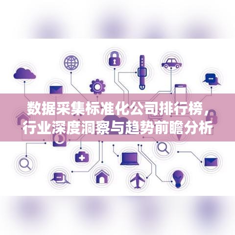 数据采集标准化公司排行榜，行业深度洞察与趋势前瞻分析